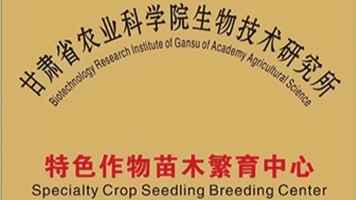甘肃省农科院生物技术研究所特色作物苗木繁育中心